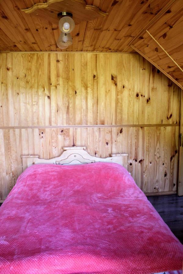 Cottage "Karpatske Shale" Yaremche Dış mekan fotoğraf