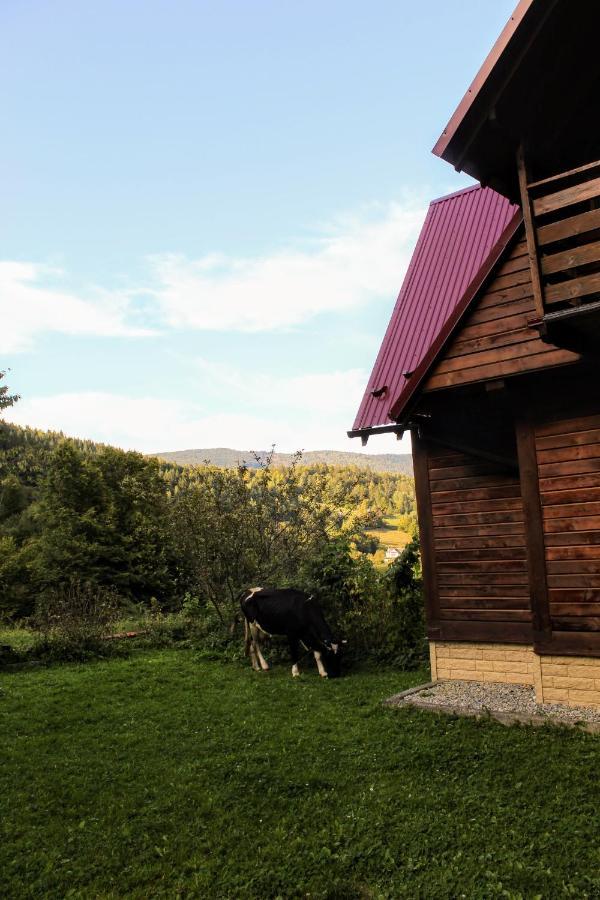 Cottage "Karpatske Shale" Yaremche Dış mekan fotoğraf