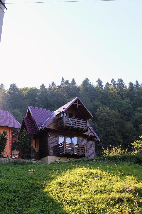 Cottage "Karpatske Shale" Yaremche Dış mekan fotoğraf
