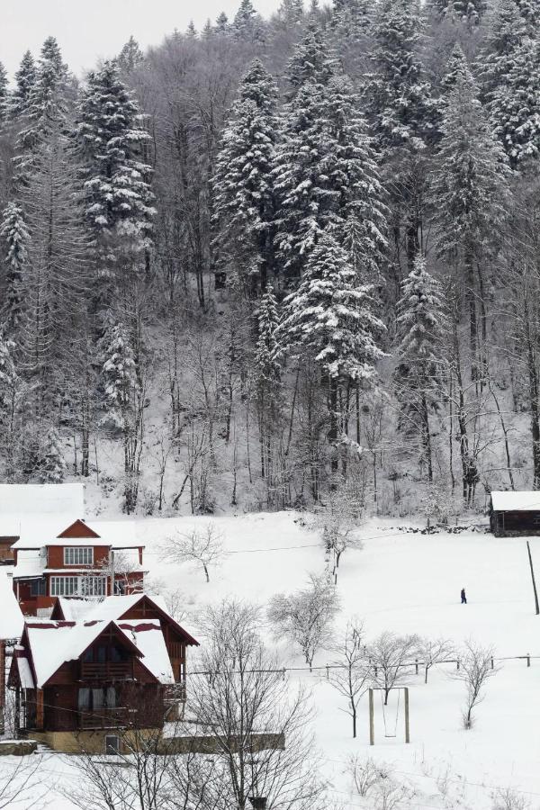 Cottage "Karpatske Shale" Yaremche Dış mekan fotoğraf