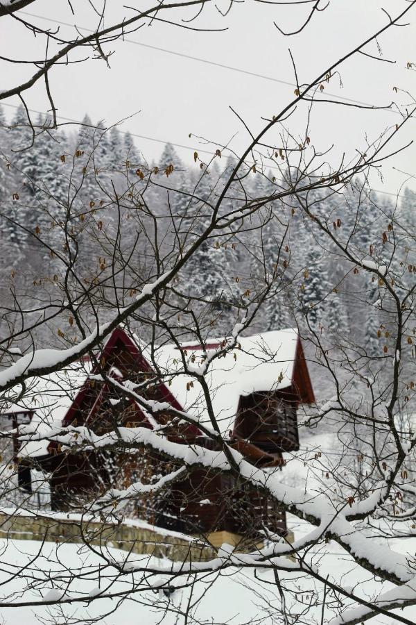 Cottage "Karpatske Shale" Yaremche Dış mekan fotoğraf